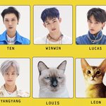 [NCT즌] 턴백탐 100위안에 들었을때 나 행복했었다고