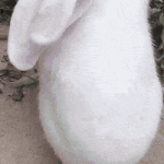 [TXT] 최수빈이 토끼인 <b>이유래</b>ㅋㅋ