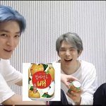 __ 쇼타로 갈아만든<b>배</b>를 갈아만든 ldh