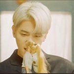 [EXO] 백현<b>댄서</b> 쪽쪽쪽