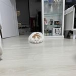 야 넷플 13분사이에 본 사람??;;;ㅔ