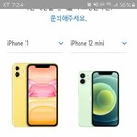 [댓글부탁해] 야 코끼리 똥 받아 먹은적 있는사람