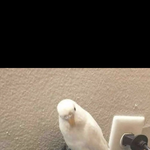 [댓글부탁해] <b>미대</b> 적고가자!