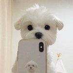 [댓글부탁해] 대학좀 골라줘 ㅠㅠ