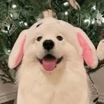 [드루와] 쌍액-쌍테-쌍수 일주일차 후기 들고왔어 (<b>미방</b>)