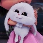 [NCT즌] 나잼 토끼닮았다고 생각해본적 없는데