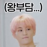 [NCT즌] 난 <b>경단</b>깅 마크에 진심이야