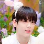 [댓글부탁해] 나 <b>남눈치</b> 많이 보고 많이 떠는데