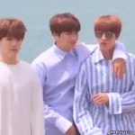 [알페스] 이이게 뭐야...?