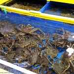 [내가한요리] 크리스마스 킹크랩