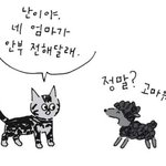 <b>천국</b>에 간 강아지와 고양이의 대화