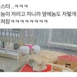 인하대 넌 <b>인재</b> 놓친거다