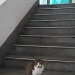 [드루와] <b>베라</b>알바