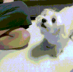 대학이 진짜 인생의 전부가 아닐까??