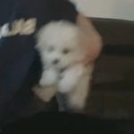 [NCT즌] 아 진짜 <b>미</b>챴다 <b>인형</b>아님???