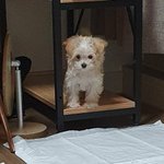 <b>인티</b>제 왜케 멋있지