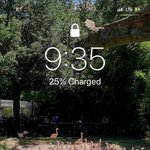 [NCT] 재현 <b>동물원</b>