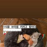[NCT즌] 애들아 이거 봤냐 개웃김