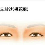 이게 도화살 눈이래