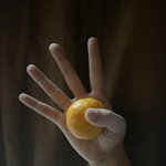 [TXT] 야 사담 미안한데 이 귤 ㅈㄴ <b>작지</b> 않냐