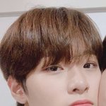 내 취향 소나무임?