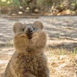 [댓글부탁해] 연예인들 열애설 어느정도면 괜찮은것같아?