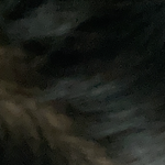 <b>머리색</b>