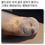 [19] <b>마일리</b> 다리운동