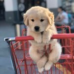 오빠 어딨쪙~~~ㅎㅎ