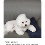 [19] <b>전자</b>담배 중독심함?그리고 비타스틱 왜 피는거임
