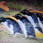 [NCT즌] ㅅㄷ <b>유산소</b>운동이 하고싶은 펭귄.