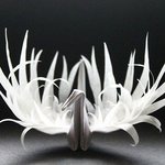 천일 기념일 선물로 종이학 어때여?