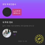 [세븐틴] 투표인증