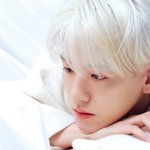 <b>변백현</b> 좋아하지마
