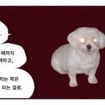 처음 최애 생기고 하는 일