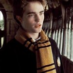 해리포터 <b>불의</b>잔 나만 좋아해?