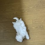 [NCT즌] 근데 대갈이 아가라