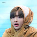 [TXT] 다람쥐파 기강 잡아