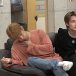 <b>담금주</b>를 먹은 도겸이