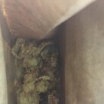[드루와] 아니 왜 나 아이폰인데 음식사진 맛없게 나오냐
