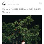 [모두드루와] 위버스 <b>유출</b> 금지에 대한 신비 반응 개웃김 ㅋㅋㅋ