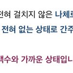 너네 꿈 <b>해몽</b> 믿어?