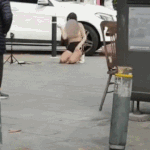 길바닥 <b>bj</b> 리액션 ..jpg