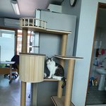 제 인생 능력없고 한심한가요?