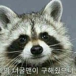 [댓글부탁해] 대학 붙은 애들아 하나만 물어보자