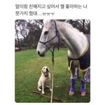 [댓글부탁해] 지방대, 전문대도 다 3등급이라고 하는 이유?