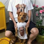 <b>지영</b>쌤이 많이 벌까 아이유가 많이 벌까