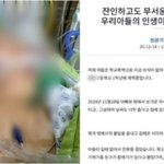 '스파링'한다며 폭행, 고교생 2명 기소…<b>피해학생</b>은 아직 '의식불명'