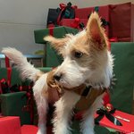 근데 <b>일산</b>이 시골임?