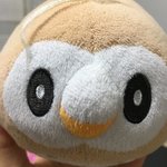 하 이 인향 손절한애가 울집개한테 준 <b>인형</b>인데